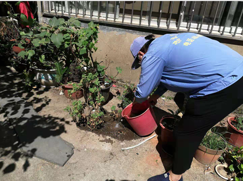 南昌市西湖区公共外环境病媒生物防制